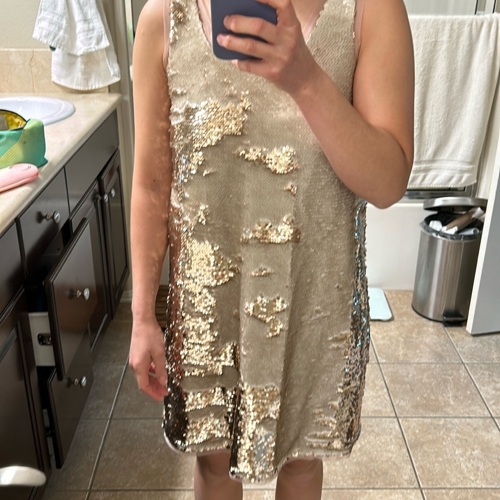 Zara dress